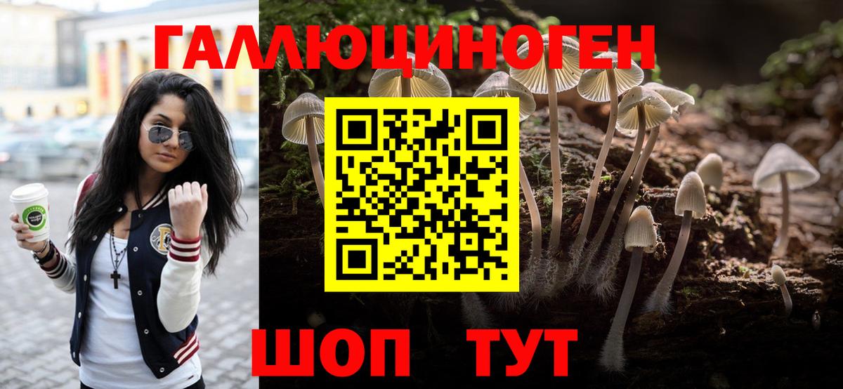 Кулебаки  наркотики  Вход с VPN  Галлюциногенные грибы MAGIC MUSHROOMS 
