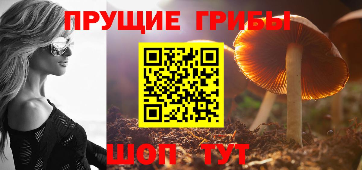ГАШ Кулебаки